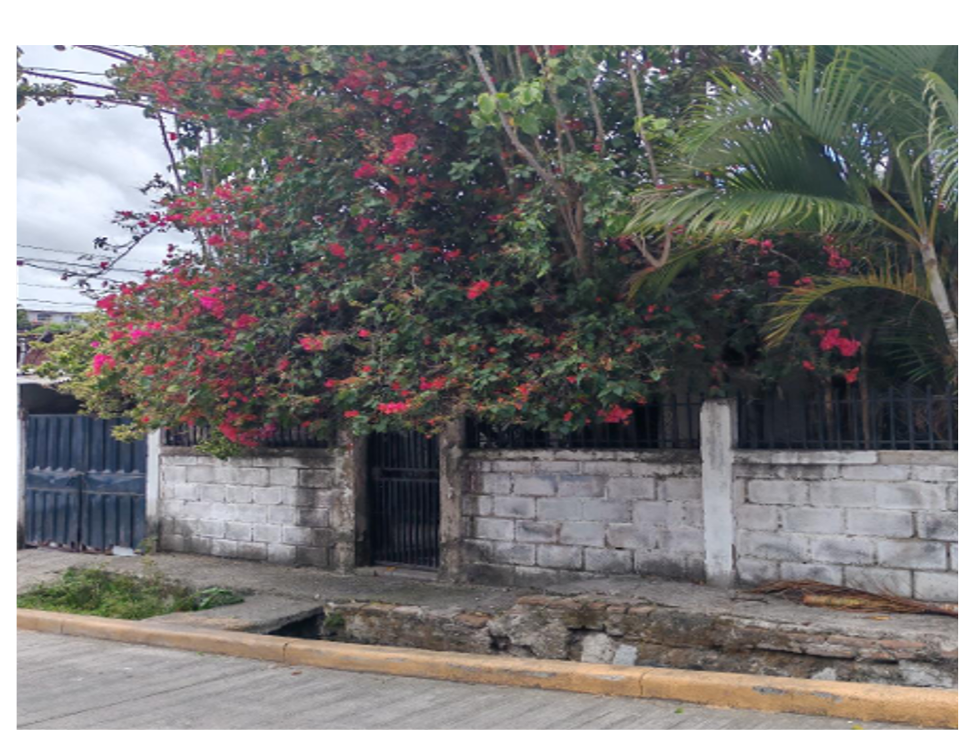 Colonia Flor del Campo, Casa No. 4010